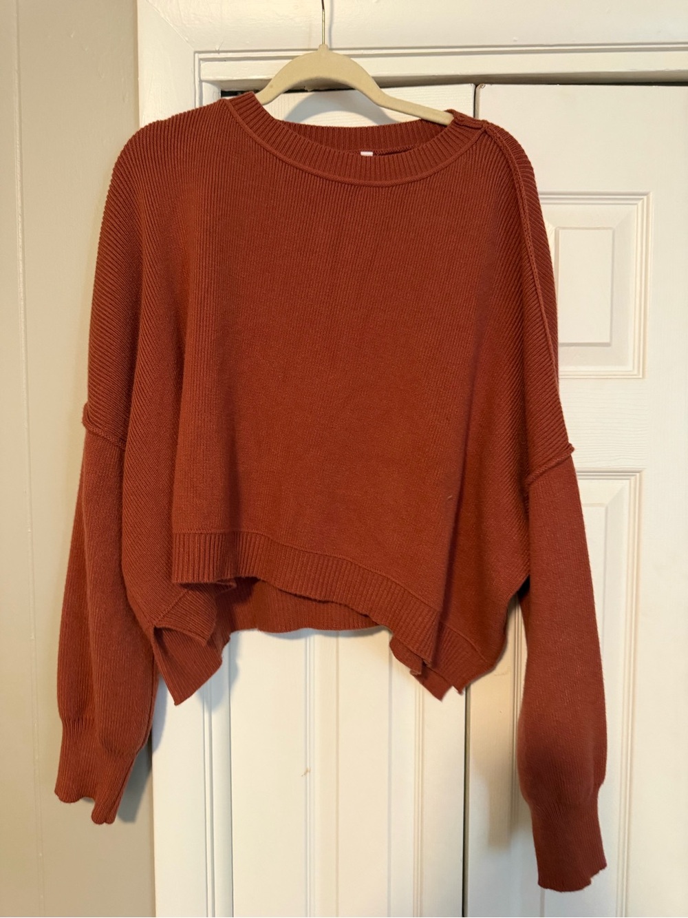 Wishlist Cropped Crewneck Sweater in Rust